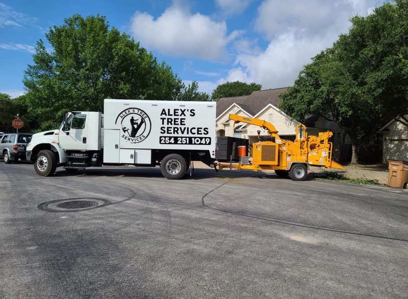 Reliable Tree Services in Round Rock, TX 78664